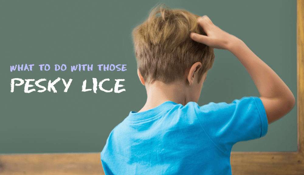 What To Do With Pesky Lice
